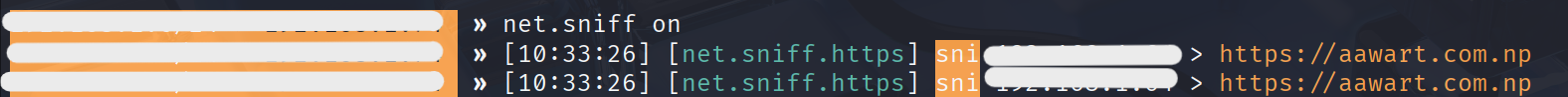 Bettercap HTTPS metadata capture
